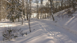 長野県菅平高原 ゆたか山荘 坂下 2026/02/09 10:15