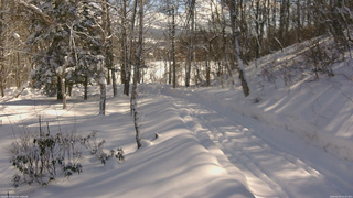 長野県菅平高原 ゆたか山荘 坂下 2026/02/09 10:30