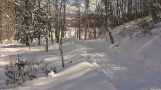 長野県菅平高原 ゆたか山荘 坂下 2026/02/09 10:45