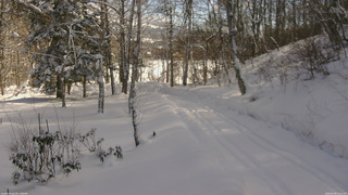 長野県菅平高原 ゆたか山荘 坂下 2026/02/09 11:00