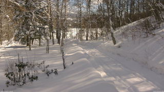長野県菅平高原 ゆたか山荘 坂下 2026/02/09 11:15