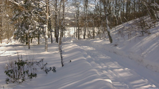 長野県菅平高原 ゆたか山荘 坂下 2026/02/09 11:30