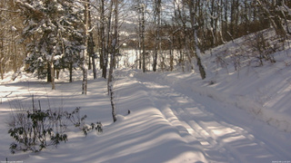 長野県菅平高原 ゆたか山荘 坂下 2026/02/09 11:45