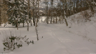 長野県菅平高原 ゆたか山荘 坂下 2026/02/09 12:15