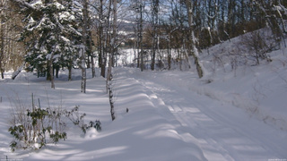 長野県菅平高原 ゆたか山荘 坂下 2026/02/09 13:30