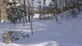 長野県菅平高原 ゆたか山荘 坂下 2026/02/09 13:45