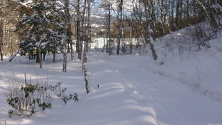 長野県菅平高原 ゆたか山荘 坂下 2026/02/09 14:00