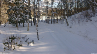 長野県菅平高原 ゆたか山荘 坂下 2026/02/09 14:30