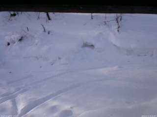 長野県菅平高原 ゆたか山荘 東側(坂下) 2026/02/10 08:00