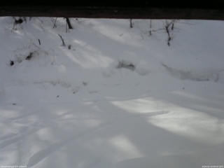 長野県菅平高原 ゆたか山荘 東側(坂下) 2026/02/10 09:45