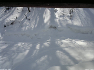 長野県菅平高原 ゆたか山荘 東側(坂下) 2026/02/10 12:00