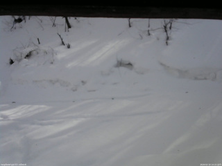 長野県菅平高原 ゆたか山荘 東側(坂下) 2026/02/10 14:15