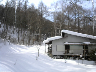 長野県菅平高原 ゆたか山荘 西側(坂上) 2026/02/10 14:15