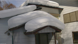 長野県菅平高原 ゆたか山荘 ゆたか山荘 2026/02/10 09:45
