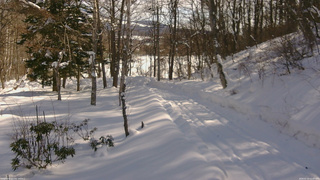 長野県菅平高原 ゆたか山荘 駐車場奥 2026/02/10 11:00