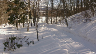 長野県菅平高原 ゆたか山荘 駐車場奥 2026/02/10 11:30