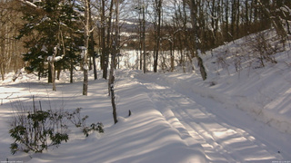 長野県菅平高原 ゆたか山荘 駐車場奥 2026/02/10 11:45