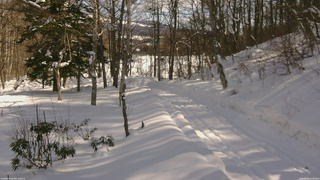 長野県菅平高原 ゆたか山荘 駐車場奥 2026/02/10 12:00