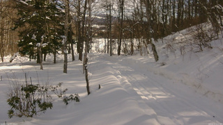 長野県菅平高原 ゆたか山荘 駐車場奥 2026/02/10 12:15