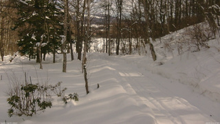 長野県菅平高原 ゆたか山荘 駐車場奥 2026/02/10 12:45