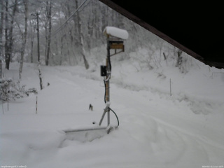 長野県菅平高原 ゆたか山荘 南側 2026/02/11 12:15