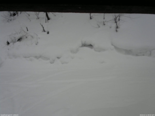 長野県菅平高原 ゆたか山荘 東側(坂下) 2026/02/11 08:00