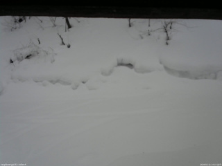 長野県菅平高原 ゆたか山荘 東側(坂下) 2026/02/11 14:15