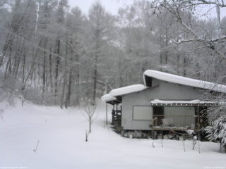 長野県菅平高原 ゆたか山荘 西側(坂上) 2026/02/11 08:00