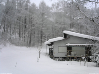 長野県菅平高原 ゆたか山荘 西側(坂上) 2026/02/11 08:45