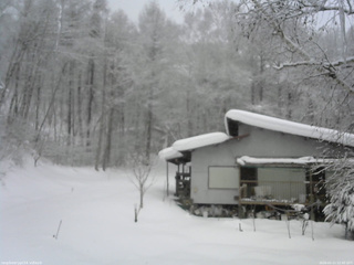 長野県菅平高原 ゆたか山荘 西側(坂上) 2026/02/11 12:00