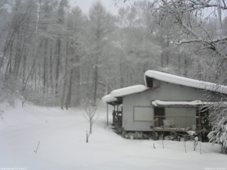 長野県菅平高原 ゆたか山荘 西側(坂上) 2026/02/11 12:45