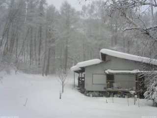 長野県菅平高原 ゆたか山荘 西側(坂上) 2026/02/11 13:15