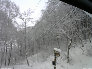 長野県菅平高原 ゆたか山荘 温度計 2026/02/11 11:15