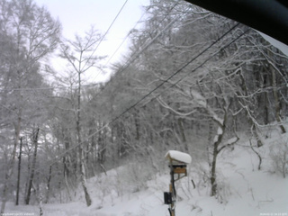 長野県菅平高原 ゆたか山荘 温度計 2026/02/11 16:15