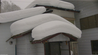長野県菅平高原 ゆたか山荘 ゆたか山荘 2026/02/11 14:00
