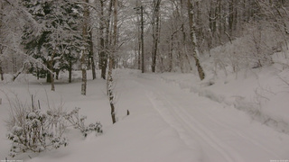 長野県菅平高原 ゆたか山荘 駐車場奥 2026/02/11 10:15