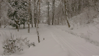 長野県菅平高原 ゆたか山荘 駐車場奥 2026/02/11 10:30