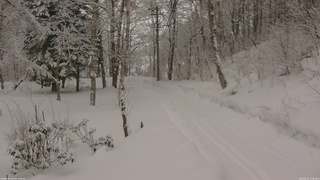 長野県菅平高原 ゆたか山荘 駐車場奥 2026/02/11 11:00