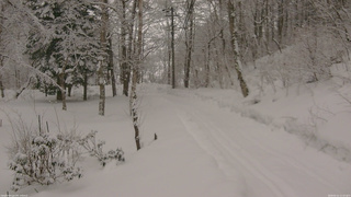 長野県菅平高原 ゆたか山荘 駐車場奥 2026/02/11 11:15