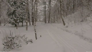 長野県菅平高原 ゆたか山荘 駐車場奥 2026/02/11 11:30