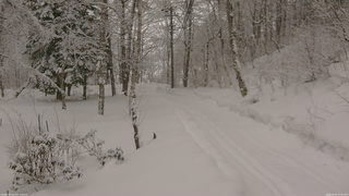 長野県菅平高原 ゆたか山荘 駐車場奥 2026/02/11 11:45
