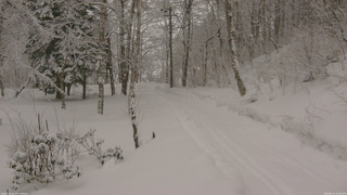 長野県菅平高原 ゆたか山荘 駐車場奥 2026/02/11 12:00