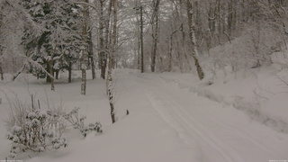 長野県菅平高原 ゆたか山荘 駐車場奥 2026/02/11 12:15