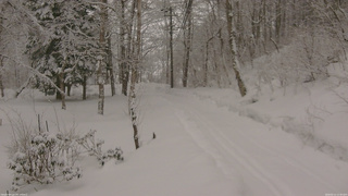 長野県菅平高原 ゆたか山荘 駐車場奥 2026/02/11 12:30