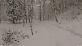 長野県菅平高原 ゆたか山荘 駐車場奥 2026/02/11 12:45
