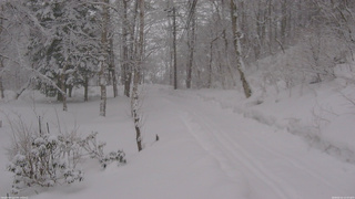 長野県菅平高原 ゆたか山荘 駐車場奥 2026/02/11 13:15