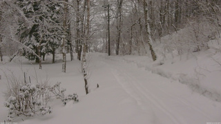 長野県菅平高原 ゆたか山荘 駐車場奥 2026/02/11 13:45