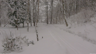 長野県菅平高原 ゆたか山荘 駐車場奥 2026/02/11 14:00