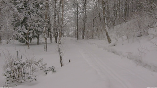長野県菅平高原 ゆたか山荘 駐車場奥 2026/02/11 14:15