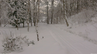 長野県菅平高原 ゆたか山荘 駐車場奥 2026/02/11 14:45